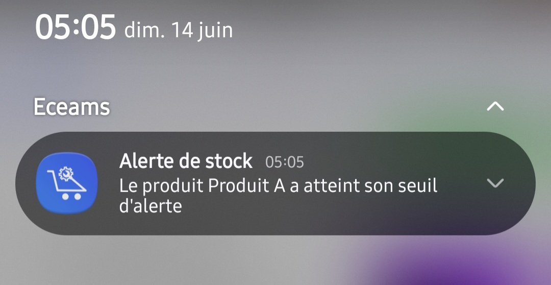 Alertes de rupture de stock